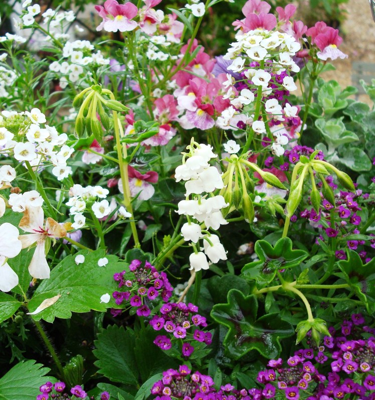 Le 1er mai aux Glycines&nbsp;…