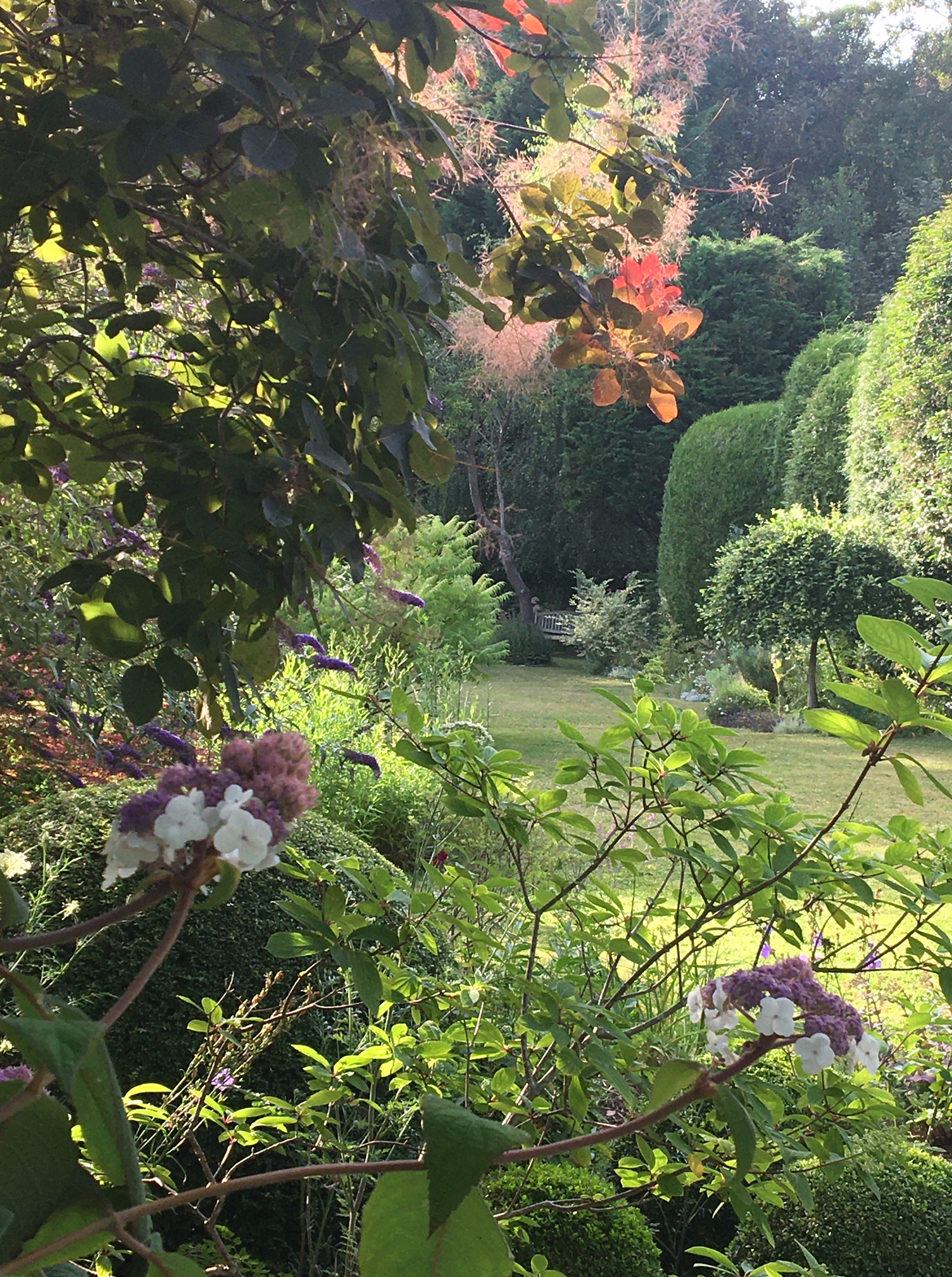 Réouverture des Glycines le mardi 1er&nbsp;septembre