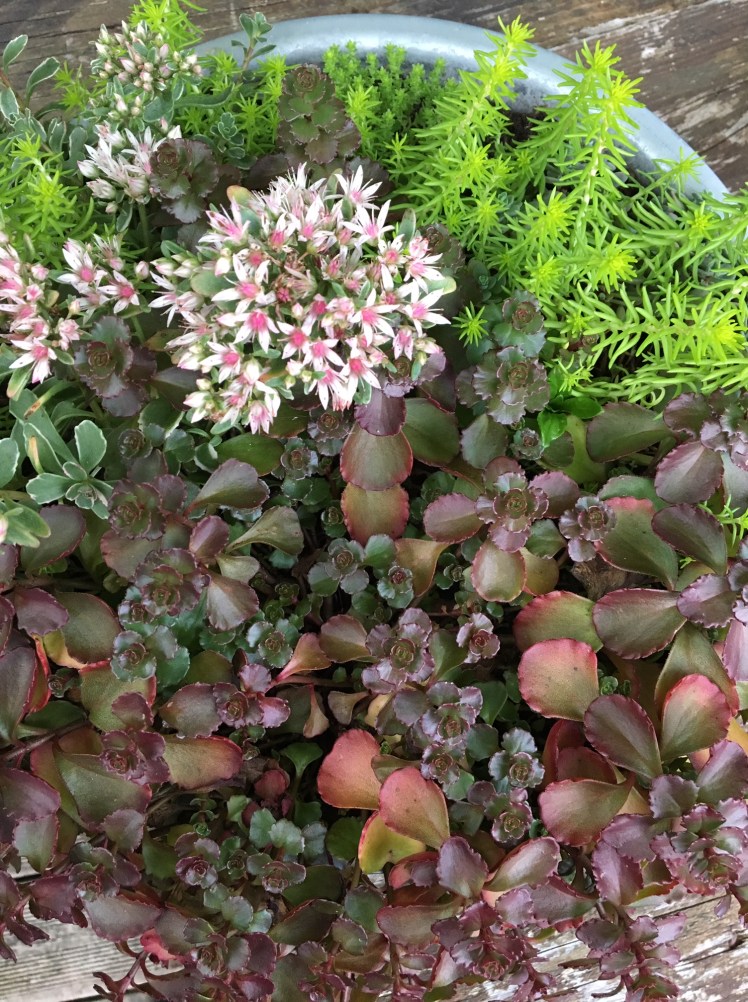 Dimanche 11 octobre : la Brocante de&nbsp;Nesles