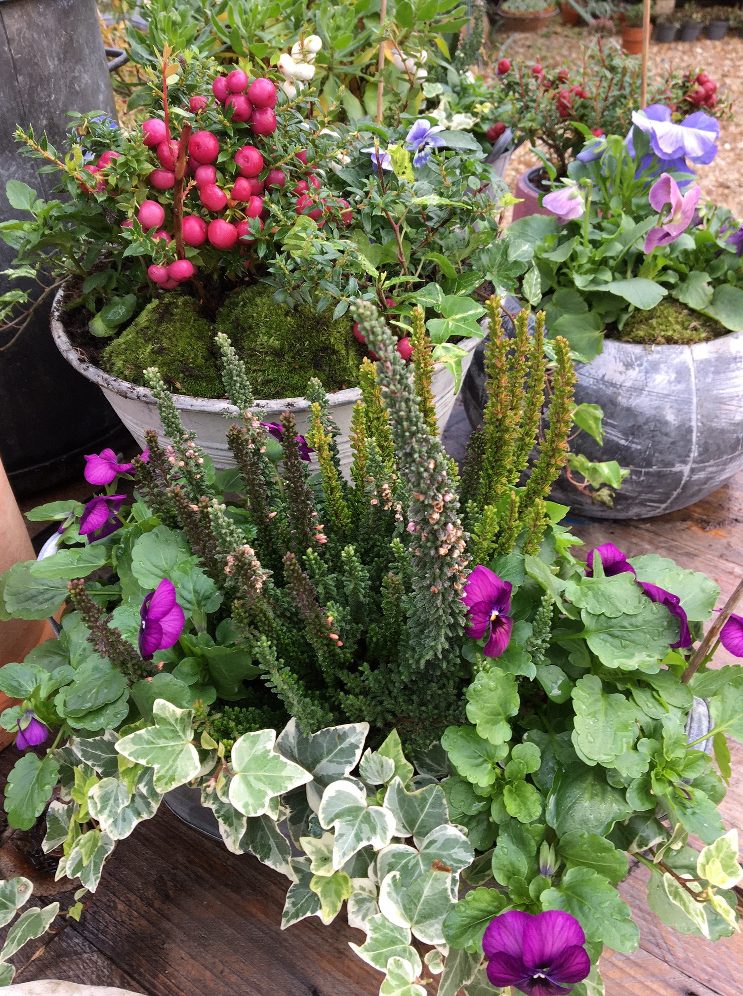 En ce moment aux&nbsp;Glycines