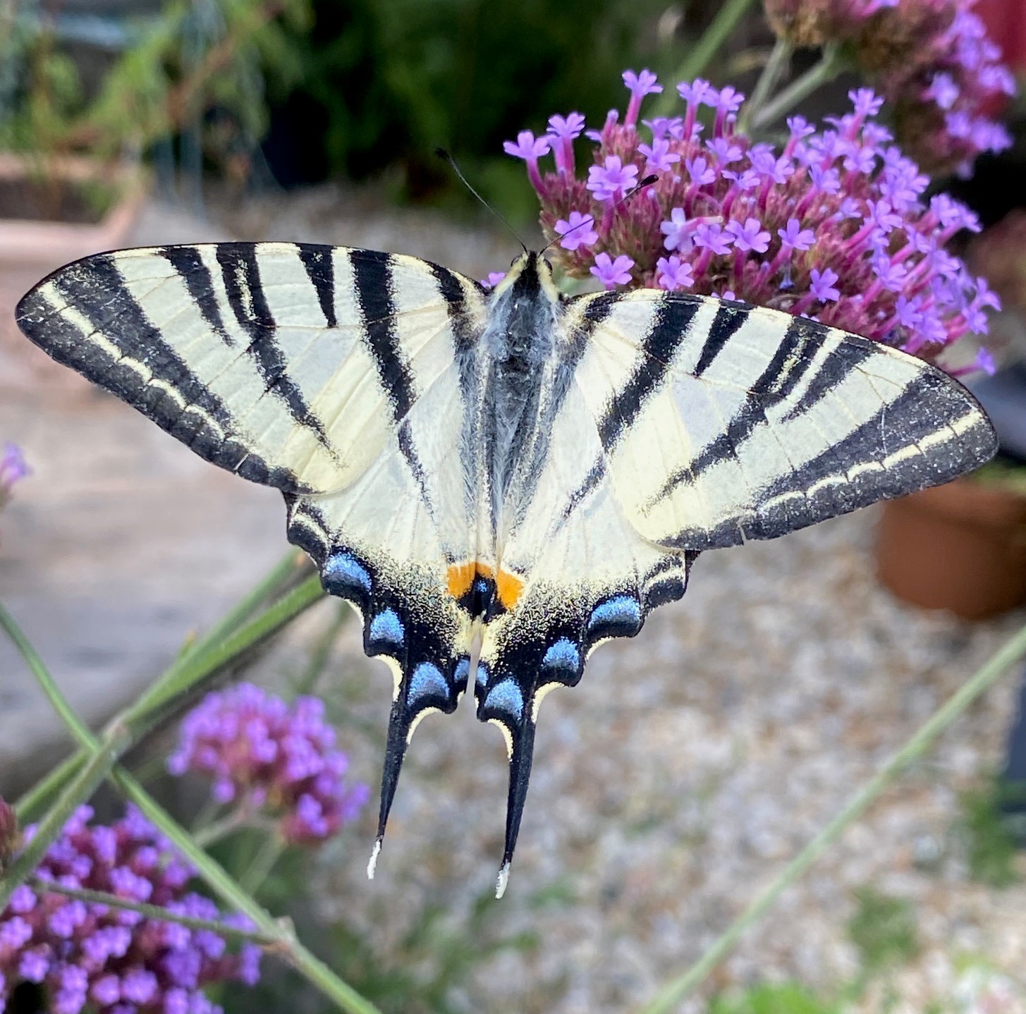 Fermeture estivale du 3 août au 7 septembre&nbsp;2023