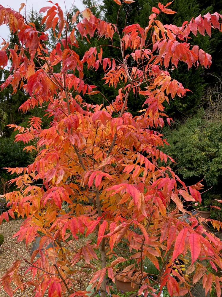 En ce moment aux Glycines&nbsp;…