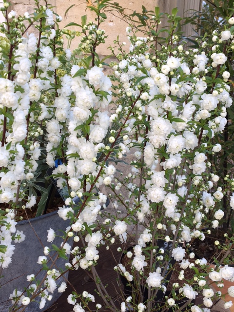 Belle année 2024 à toutes et tous&nbsp;…