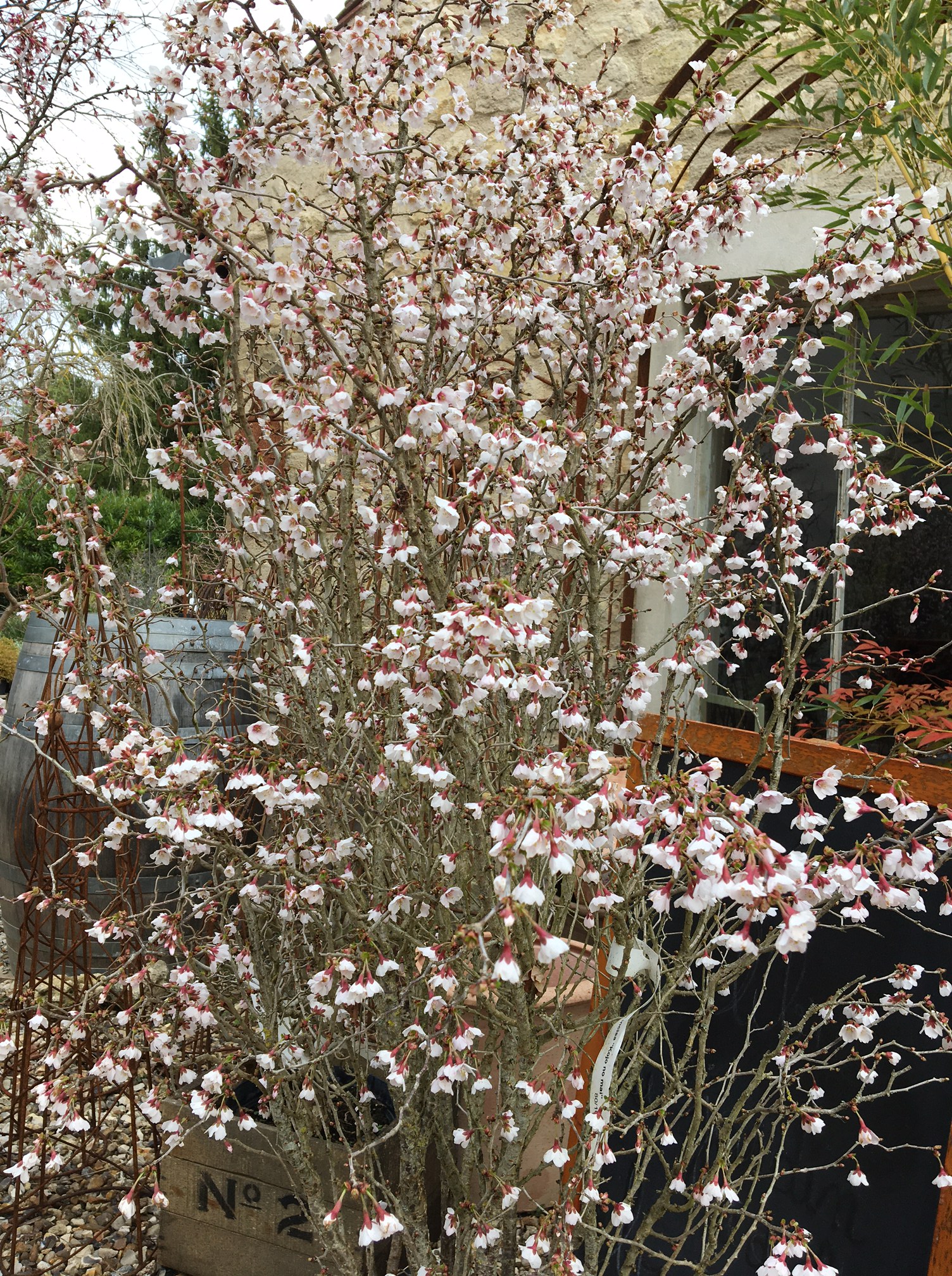 Réouverture des Glycines le jeudi 6 mars&nbsp;…
